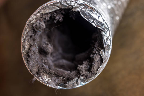 Best HVAC System Cleaning  in North Cape May, NJ